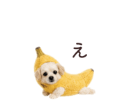 844058872