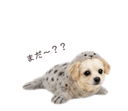 844058874