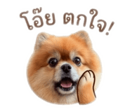 844059674