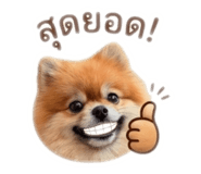 844059677