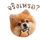 844059678