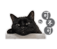 844060192