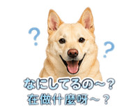 844061917
