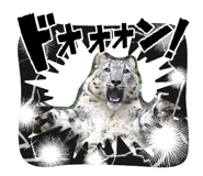 844062191