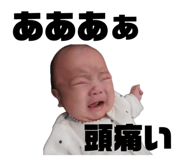 844062342