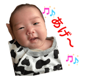 844062579