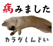844062908