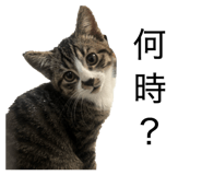 844063171