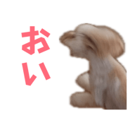 844063659