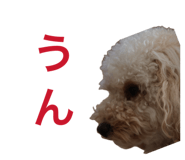 844063660