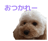 844063661