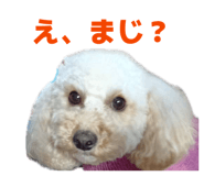 844063670