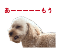 844063672