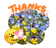 844063961