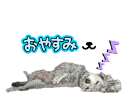 844064100