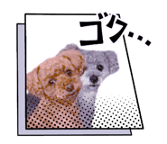 844064108