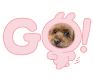 844064132