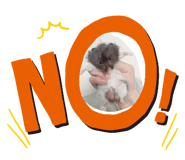 844064312