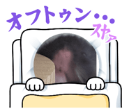 844064324