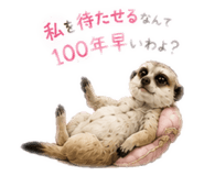 844064509