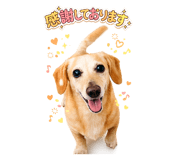 844064988