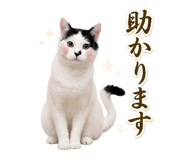 844064990