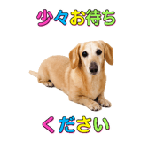 844064998
