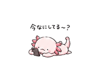 844065032