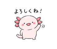 844065037