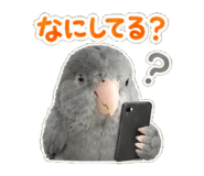 844065058
