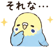 844065091