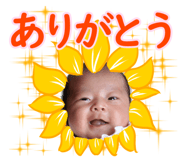 844066521