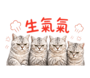 844066636