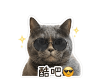 844067081