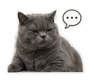 844068078