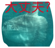 844068135