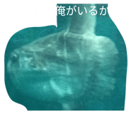 844068136