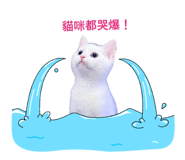 844069494