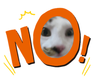 844069847