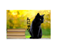 844070012