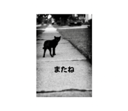 844070028