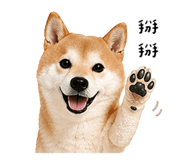 844070274