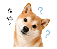 844070289