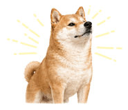 844070302
