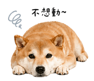 844070309