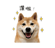 844071797