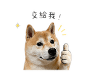 844071801