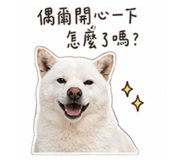 844072023