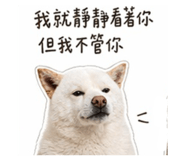 844072025