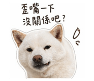 844072028